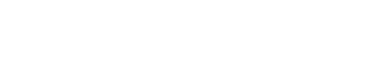 SHISA.AI